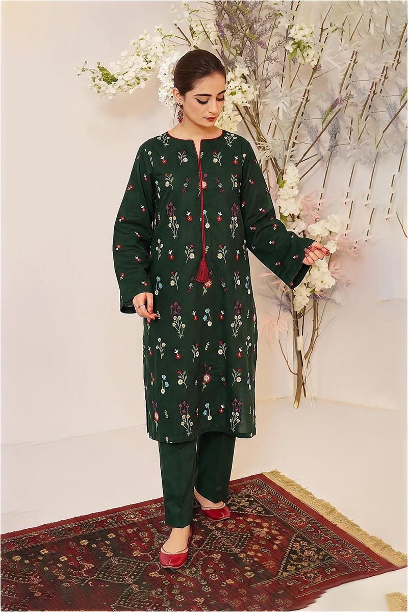 nfs-1662-bareeze-heavy-embroidered-dhanak-2-piece-dress-b