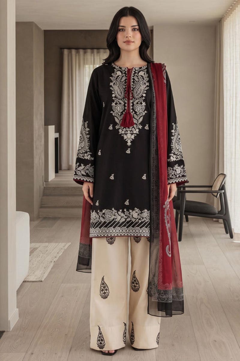 NFS-669 | Pezwan Heavy Embroidered Dhanak 3 Piece Dress
